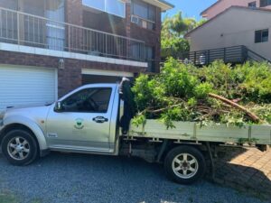 Green waste removal service in Gold Coast by Mower Rangers
